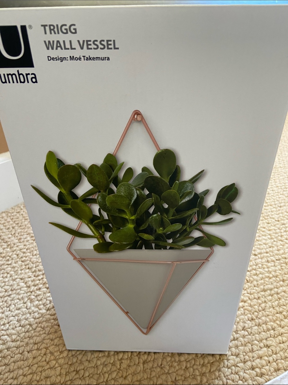 New Umbra Single Trigg Wall Hanging Vessel Gold Gray Combo Vase Planter